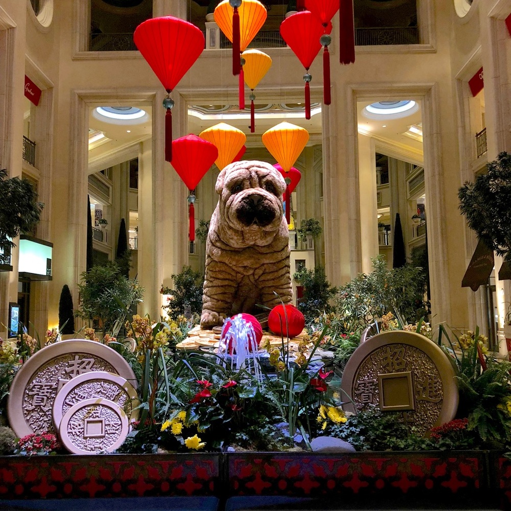Meet your Posher, Becca